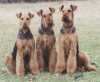 Locher Muehle breed group